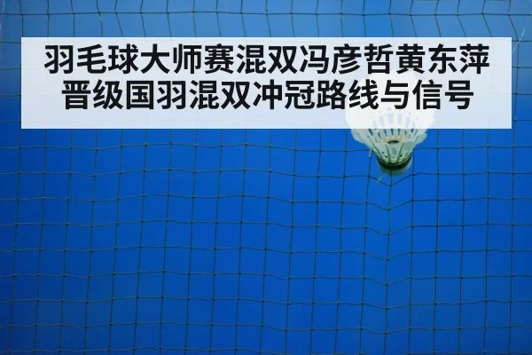 badminton net shot closeup